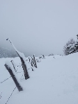 /Ski/2010/Images/1712/P1010036Icon.jpg