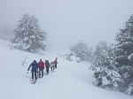 /Ski/2010/Images/1712/P1010037Icon.jpg