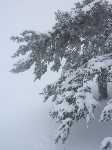 /Ski/2010/Images/1712/P1010038Icon.jpg