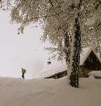 /Ski/2010/Images/1716/P1010049Icon.jpg