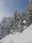 /Ski/2010/Images/1716/P1010052Icon.jpg