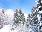 /Ski/2010/Images/1716/P1010053Icon.jpg