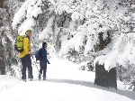 /Ski/2010/Images/1716/P1010055Icon.jpg
