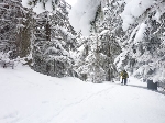 /Ski/2010/Images/1716/P1010056Icon.jpg