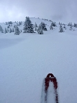 /Ski/2010/Images/1721/P1010065Icon.jpg