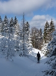 /Ski/2010/Images/1721/P1010128Icon.jpg