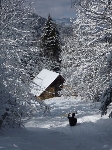 /Ski/2010/Images/1721/P1010131Icon.jpg