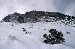 /Ski/2010/Images/1723/IMG_WEB_014Icon.jpg