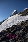 /Ski/2010/Images/1757/IMG_WEB_000Icon.jpg