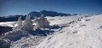 /Ski/2010/Images/1760/IMG_WEB_004Icon.jpg