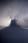 /Ski/2010/Images/1760/IMG_WEB_007Icon.jpg
