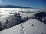 /Ski/2010/Images/1765/IMG_WEB_007Icon.jpg
