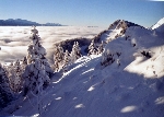 /Ski/2010/Images/1765/IMG_WEB_008Icon.jpg