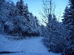 /Ski/2010/Images/1771/IMG_WEB_002Icon.jpg