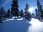 /Ski/2010/Images/1771/IMG_WEB_004Icon.jpg