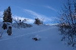 /Ski/2010/Images/1771/IMG_WEB_009Icon.jpg