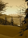/Ski/2010/Images/1772/P1020408Icon.jpg