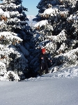 /Ski/2010/Images/1772/P1020415Icon.jpg