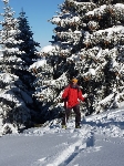 /Ski/2010/Images/1772/P1020416Icon.jpg