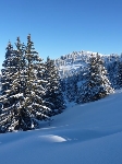 /Ski/2010/Images/1772/P1020417Icon.jpg