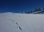 /Ski/2010/Images/1772/P1020419Icon.jpg