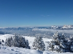 /Ski/2010/Images/1772/P1020424Icon.jpg
