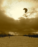 /Ski/2010/Images/1774/P1020447Icon.jpg