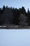 /Ski/2011/Images/1787/IMG_WEB_000Icon.jpg