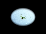 /Ski/2011/Images/1805/P1020695Icon.jpg
