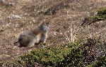 /Ski/2011/Images/1809/IMG_WEB_0026Icon.jpg