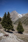 /Ski/2011/Images/1809/IMG_WEB_0028Icon.jpg