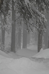 /Ski/2011/Images/1826/IMG_WEB_00Icon.JPG