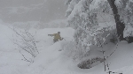 /Ski/2011/Images/1827/web_IMG_0101Icon.JPG