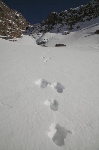 /Ski/2011/Images/1828/IMG_WEB_0009Icon.JPG