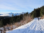 /Ski/2012/Images/1831/IMG_5874Icon.jpg