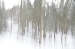 /Ski/2012/Images/1832/IMG_WEB_00Icon.JPG