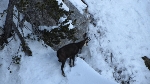 /Ski/2012/Images/1843/IMG_0058_WEBIcon.JPG