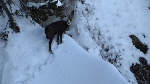 /Ski/2012/Images/1843/IMG_0061_WEBIcon.JPG