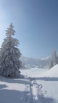 /Ski/2012/Images/1846/IMG_WEB_002Icon.JPG