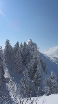 /Ski/2012/Images/1846/IMG_WEB_010Icon.JPG
