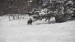 /Ski/2012/Images/1847/IMG_WEB_002Icon.JPG