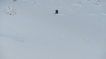 /Ski/2012/Images/1847/IMG_WEB_010Icon.JPG