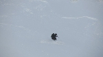 /Ski/2012/Images/1847/IMG_WEB_012Icon.JPG