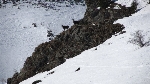 /Ski/2012/Images/1853/IMG_WEB_004Icon.JPG