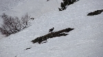 /Ski/2012/Images/1853/IMG_WEB_008Icon.JPG