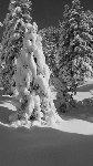/Ski/2012/Images/1893/IMG_WEB_001Icon.JPG