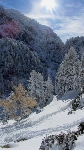 /Ski/2012/Images/1893/IMG_WEB_005Icon.JPG