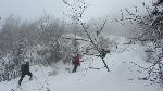 /Ski/2012/Images/1895/IMG_WEB_000Icon.JPG