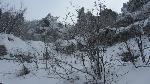 /Ski/2012/Images/1895/IMG_WEB_001Icon.JPG