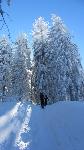 /Ski/2012/Images/1897/IMG_1182Icon.JPG